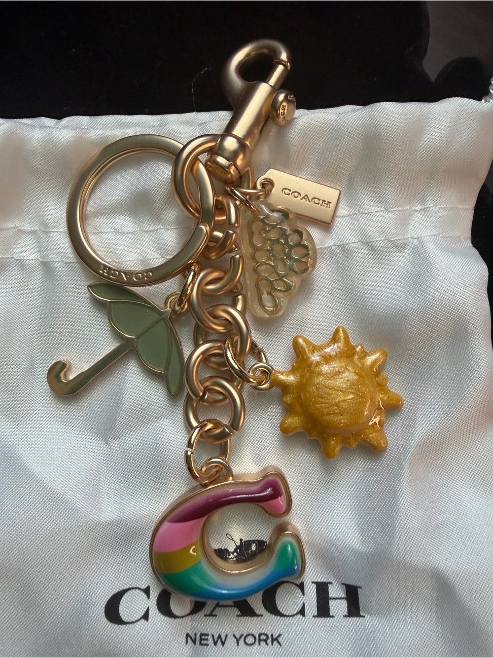 COACH C3618 Rainbow Mixed Charms Bag Charm Pride Keychain Gold Tone